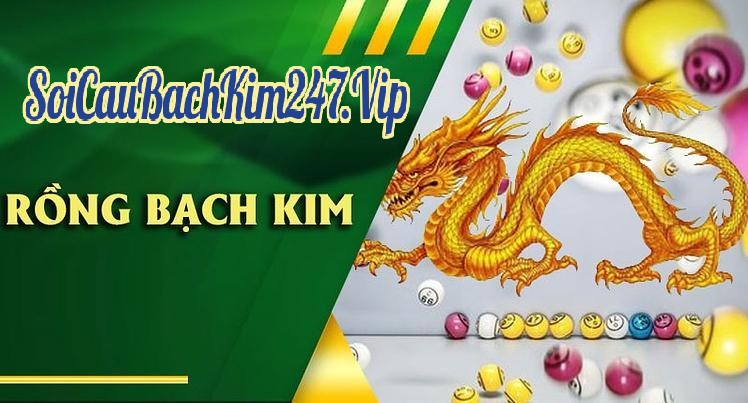 Rồng bạch kim là gì