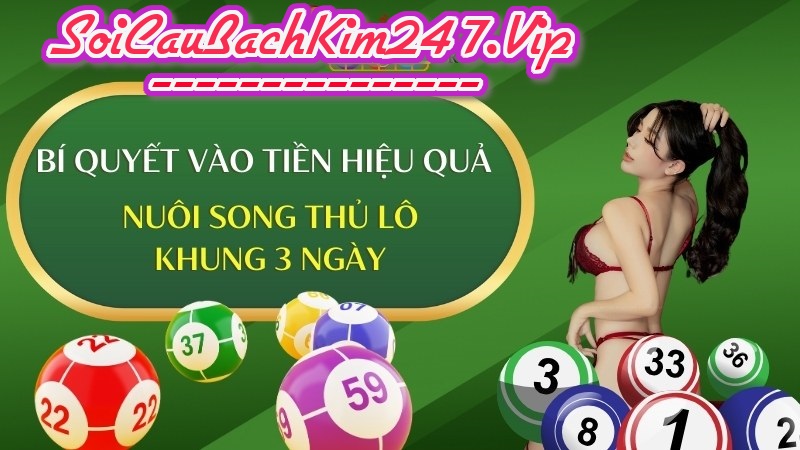 cách vào tiền nuôi lô song thủ khung 3 ngày